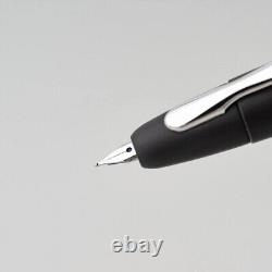 Almost daily capless fountain pen (extra fine)