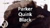 Parker Quink Black Review