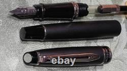 Waterman Expert Fountain Pen Matte Black Gt Nib F With Converter